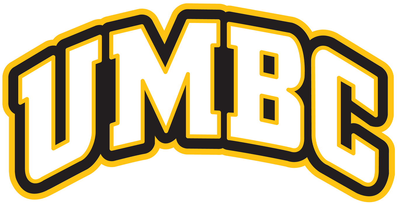 UMBC Retrievers 2010-Pres Wordmark Logo diy DTF decal sticker